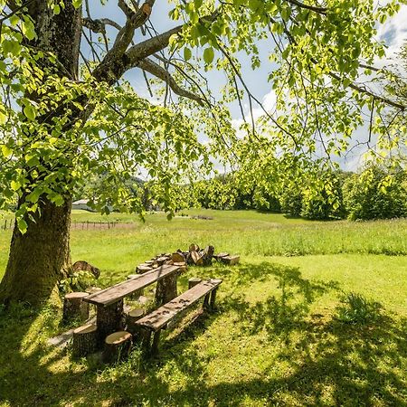 Apartmán Apartma Zoran Lokve Exteriér fotografie