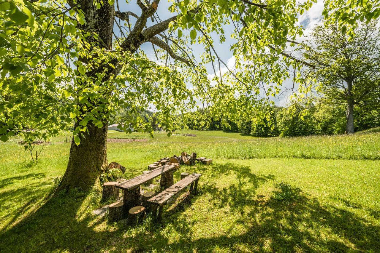 Apartmán Apartma Zoran Lokve Exteriér fotografie