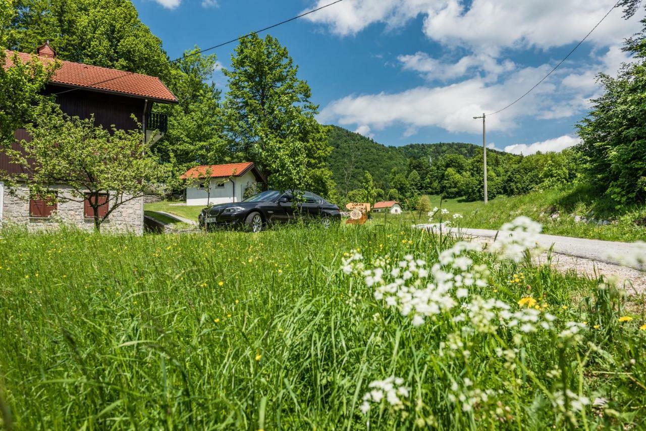 Apartmán Apartma Zoran Lokve Exteriér fotografie